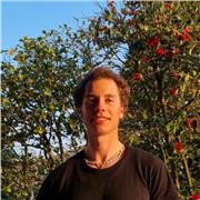 Non temere l'insufficienza ti aiuto io a imparare tutto